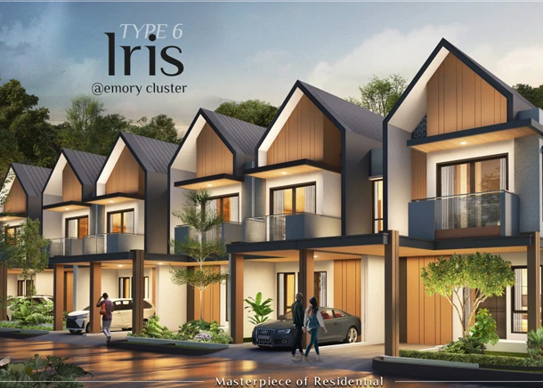 Iris — Cluster Emory Parkland Podomoro