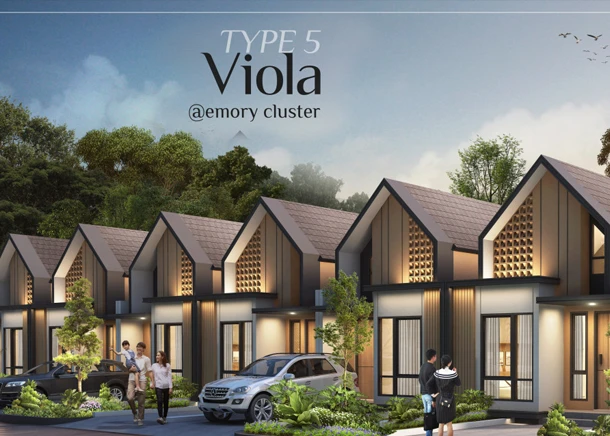 Viola — Cluster Emory Parkland Podomoro